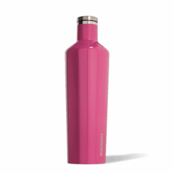 CORKCICLE Termoflaske Pink, ca. 0,75 liter